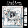 The Moonlit Fairy