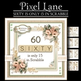 60 Is Only 15 In Scrabble