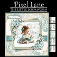 The Little Bookworm