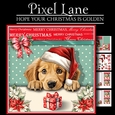 Hope Your Christmas Is Golden