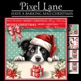 Hope Your Christmas Is Barking Mad!