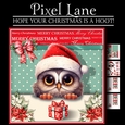 Hope Your Christmas Is A Hoot!