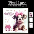 Wrinkles Are Cute! (Female)