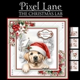 The Christmas Lab