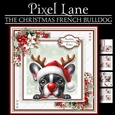 The Christmas French Bulldog