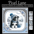 Santa Paws Is Coming To Town (Male Border Collie)