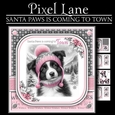 Santa Paws Is Coming To Town (Border Collie Female)