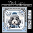 Santa Paws Is Coming To Town (Male Cockapoo))