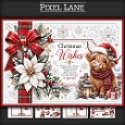 With Christmas Cheer And A Festive Glow