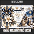 The Christmas Star