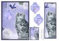 Little Kitten & Bird Card Front
