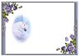 Moonlit Fantasy Unicorn Blank Insert