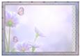 Butterfly Bliss Blank Insert