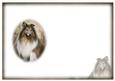 Mans Best Friend Blank Insert