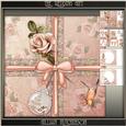 The Wedding Gift