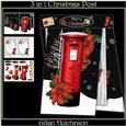 3 in 1 Christmas Post