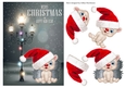 Dashing Through the Snow Card Front 10