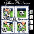 The Football Fan