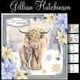 The Christmas Highland Cows