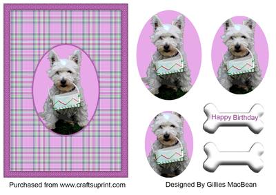 Westie