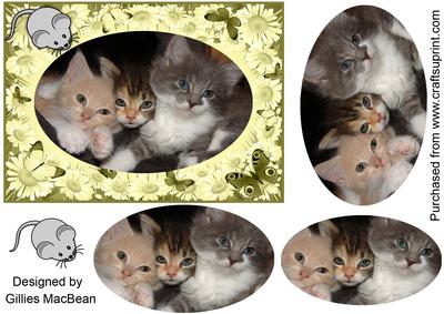 Trio of Kittens