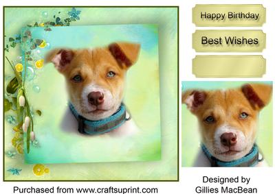 Portrait of a Dog