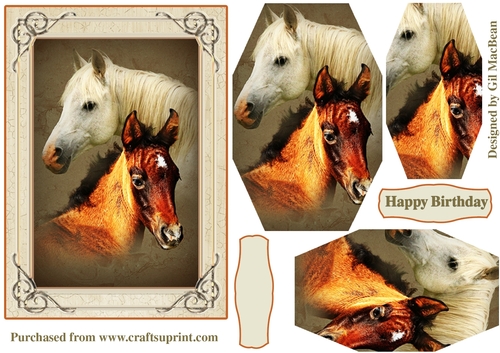 Horses Card