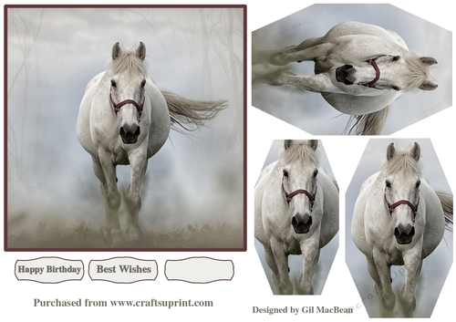 Racing Horse