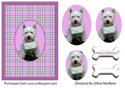 Westie
