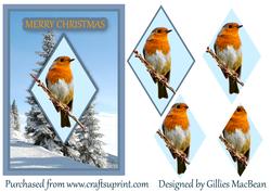 Robin Redbreast
