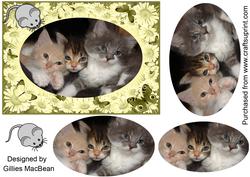 Trio of Kittens