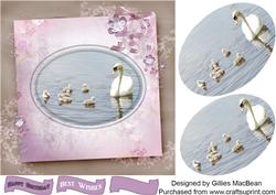 Swan Family