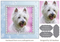 Poppys Portrait