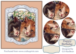 Cute Cats