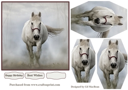 Racing Horse