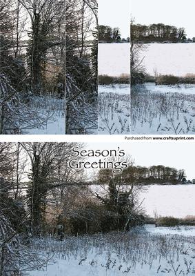Christmas Snowy Pednor