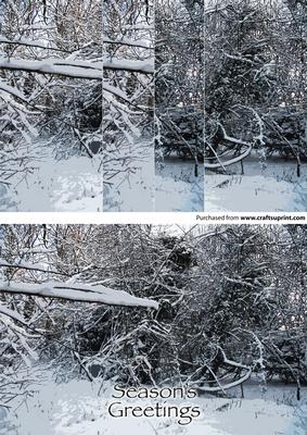 Christmas Snow Covered Clearing