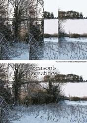 Christmas Snowy Pednor