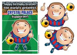 Crystal Palace Football Club Brother