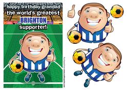 Brighton Football Club Happy Birthday Grandad