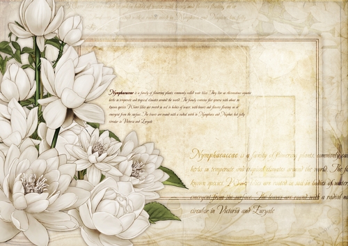 Lily Floral Spray Paper Cream