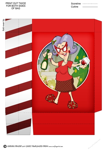 Veras Christmas Drinks Mini Gift Bag