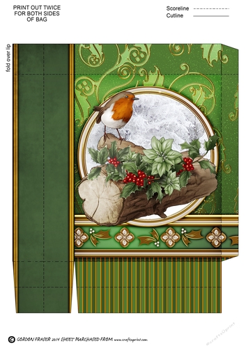 Christmas Robin Mini Gift Bag Green