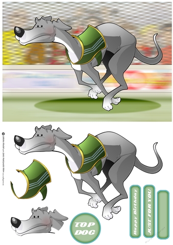 Greyhound Race (Grey)