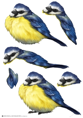 Blue Tit Decoupage Sheet