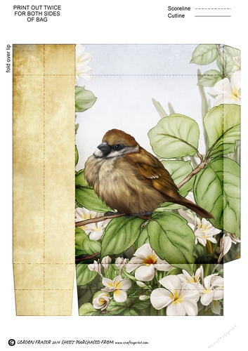 Sparrow Mini Gift Bag