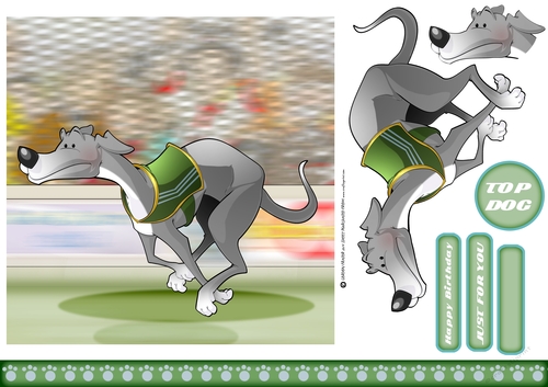 Greyhound Race (Grey) 7x7 Quick Card