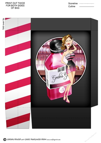 Pink Gin Dudess Mini Gift Bag