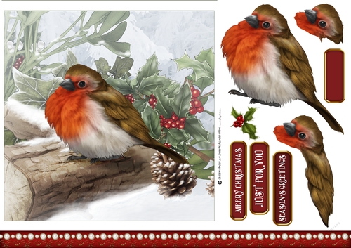 Snowy Robin 7x7 Quick Card