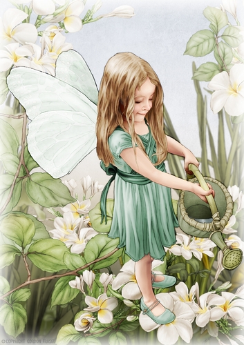 Forest Fairy Evie Aqua A4